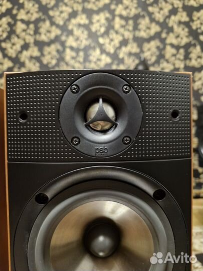 Акустические колонки PSB b15