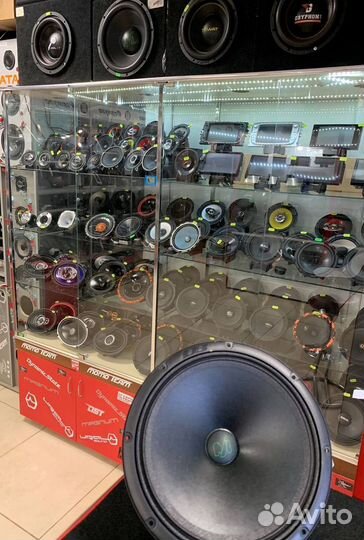 Среднечастотники Ural TT 165