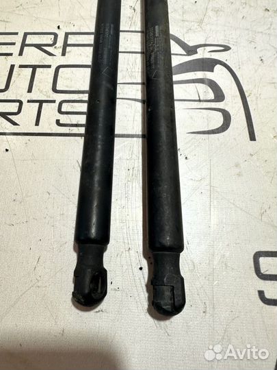 Газовые упоры крышки багажника Opel Insignia G09