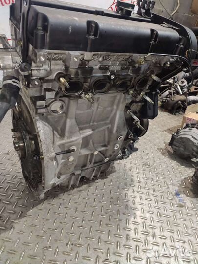 Двигатель Ford Focus 1 Форд Фокус 1 1.6 Zetec