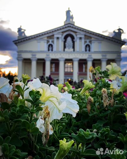 Мобильный фотограф