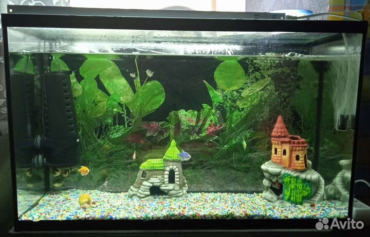 Аквариум