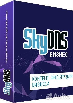 Skydns Бизнес. 40 лицензий на 1 год SKY Bsn 40