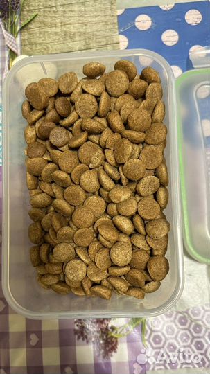 Лакомства для собак