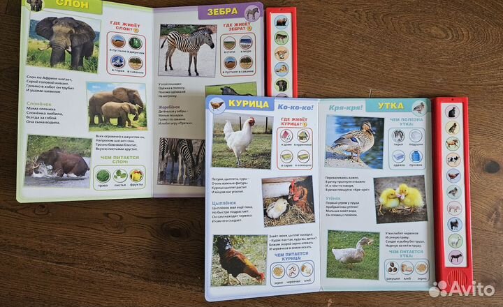 Говорящие/музыкальные книги-энциклопедии