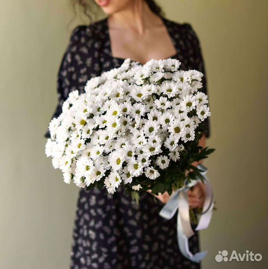 Хризантема