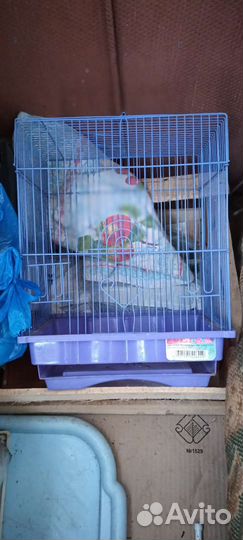 Клетка для попугая бу