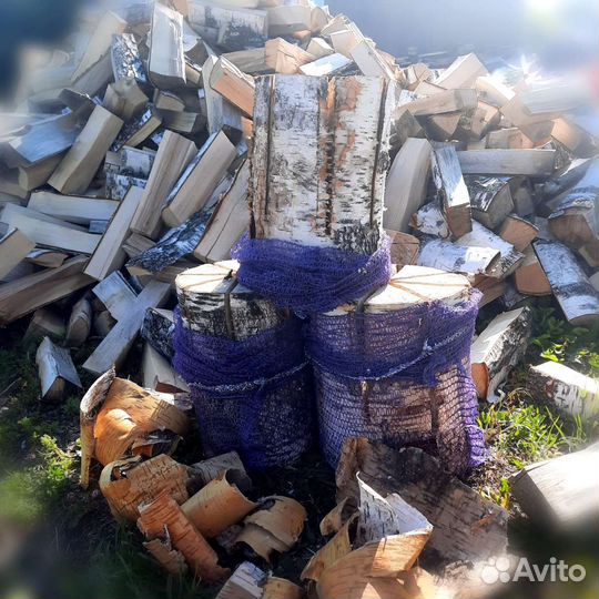 Финская свеча берёза