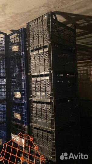 Ящик пластиковый