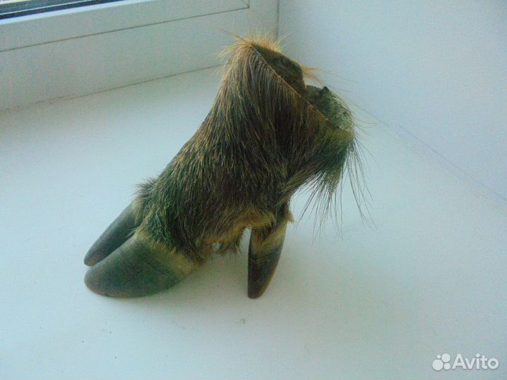 Охотничий трофей: пепельница из копыта кабана