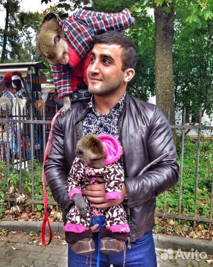 Работа поваром