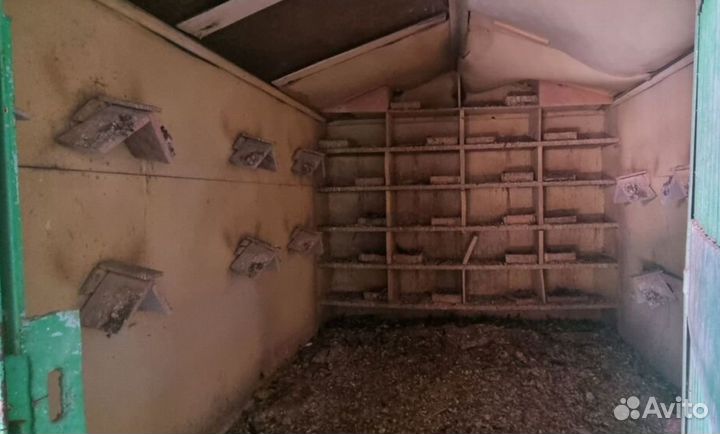 Голубятня для голубей