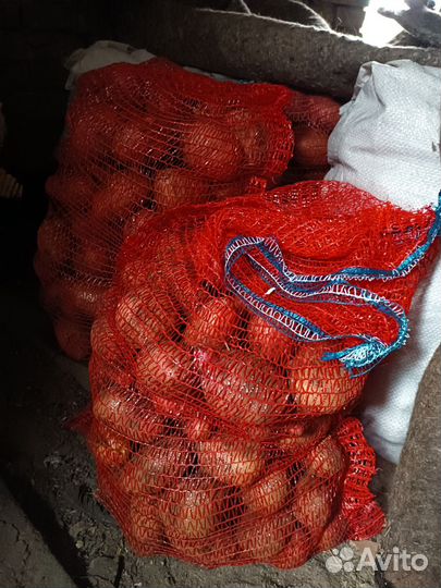 Продам картофель с доставкой
