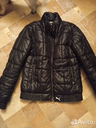 Продам пума