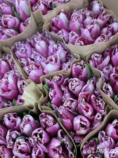 Тюльпаны, букет тюльпанов