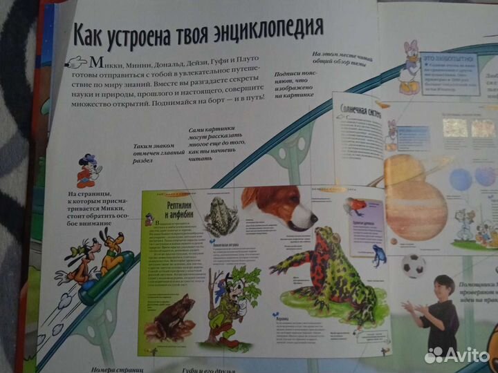 Энциклопедия от Дисней - История человечества