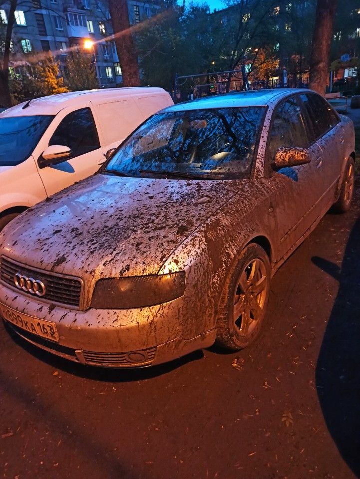 Audi A4: фото владельца