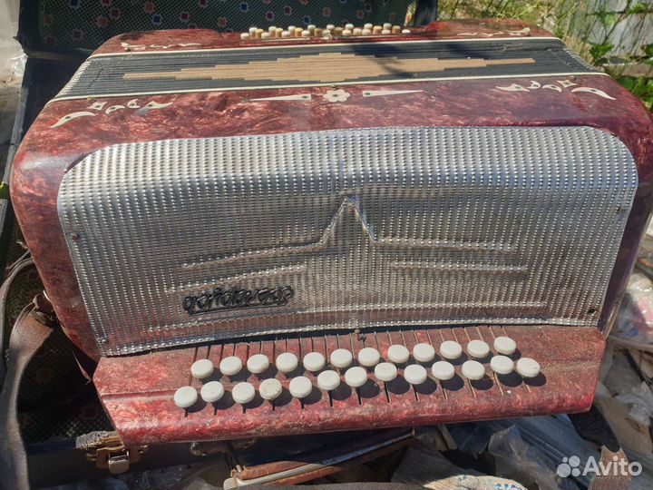 Гармонь беларусь