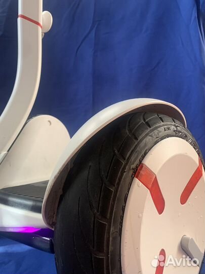 Segway ninibot mini pro