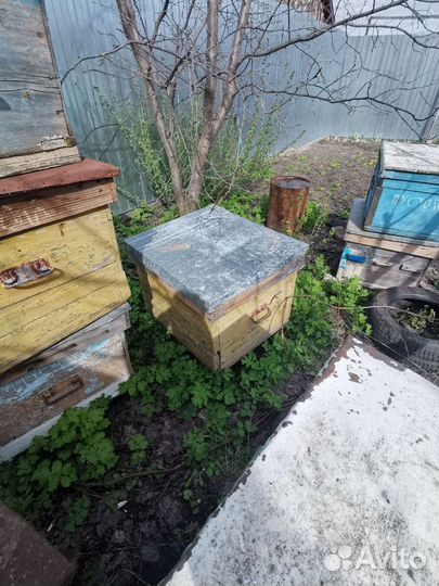 Рамки и ульи для пчел