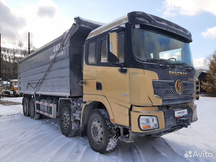 Shacman (Shaanxi) SX33186T366, 2021