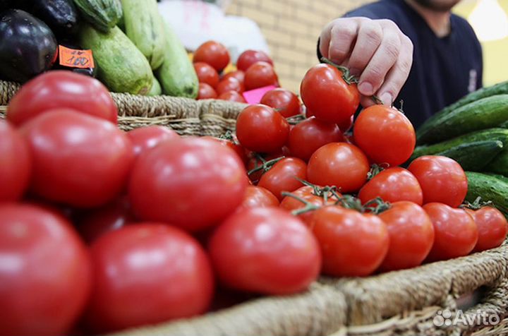 Беспл.автобус/ Стикеровщики томатов на овощебазу В