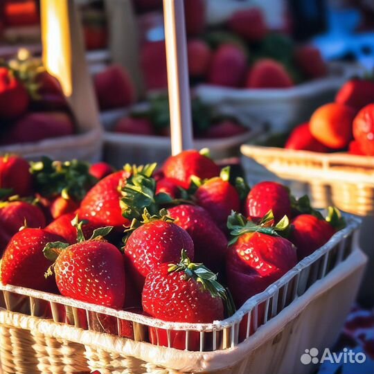 Клубника казань опт
