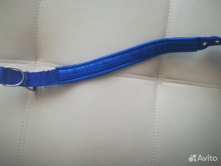 Ошейник для собаки