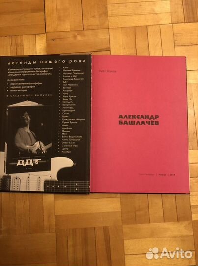 Книга о музыканте. Башлачов