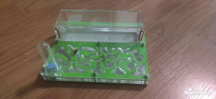 Муравьиная ферма без муравьев