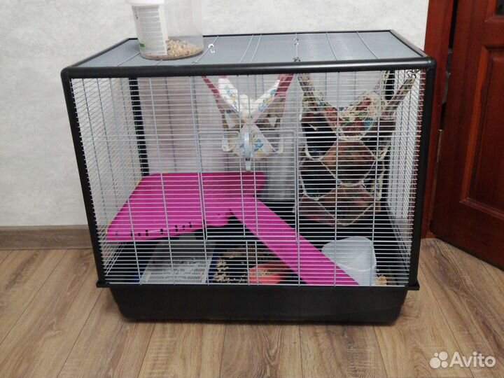 Клетка savic