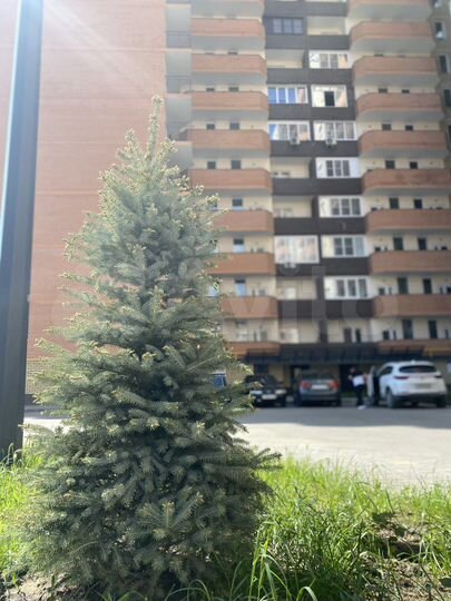 1-к. квартира, 45 м², 14/17 эт.