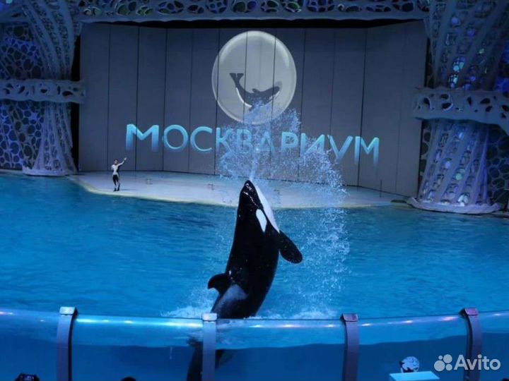 Билеты в Москвариум, Океанариум ВДНХ