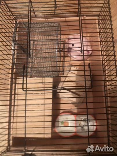 Клетка для маленького хомячка