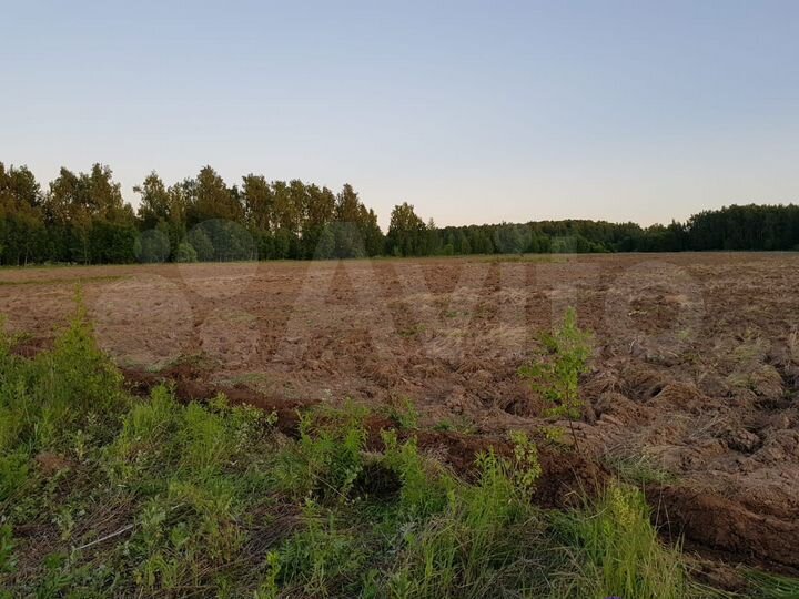 Участок 5,6 га (СНТ, ДНП)