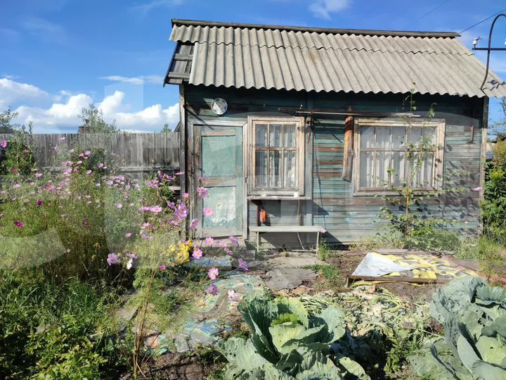 Участок 4,2 сот. (СНТ, ДНП)