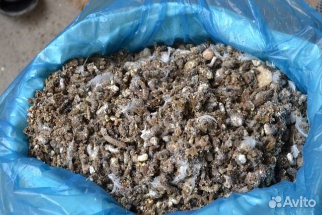 Куриный помет