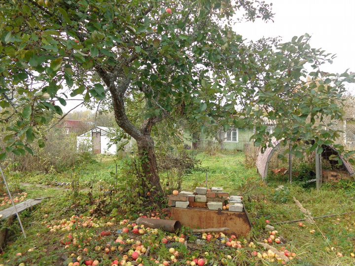 Дача 40 м² на участке 6 сот.