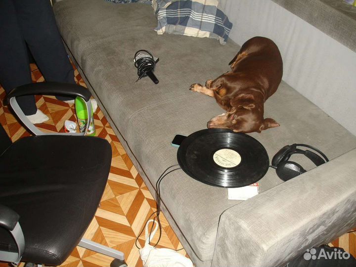 Приму в дар музыкальные инструменты