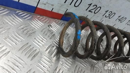 Пружина задняя ford focus 2 (ADN24LY01)