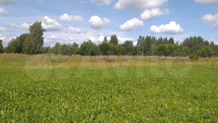 Участок 14 сот. (ИЖС)