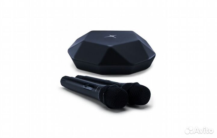 Караоке для дома X Star с колонками Evosphere