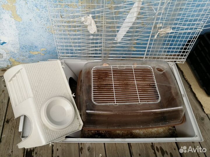 Клетки для морских свинок