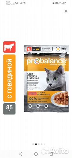 Влажный корм для кошек