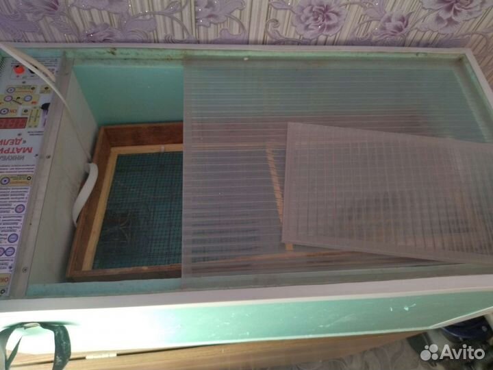 Инкубатор для яиц автоматический бу