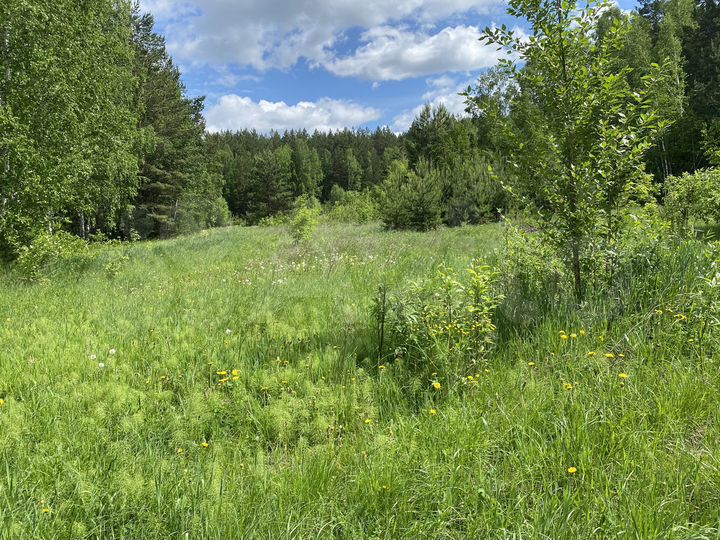 Участок 20 сот. (ИЖС)