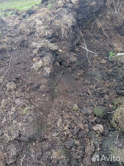 Навоз коровый