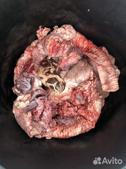 Мясо для собак / микс трахея