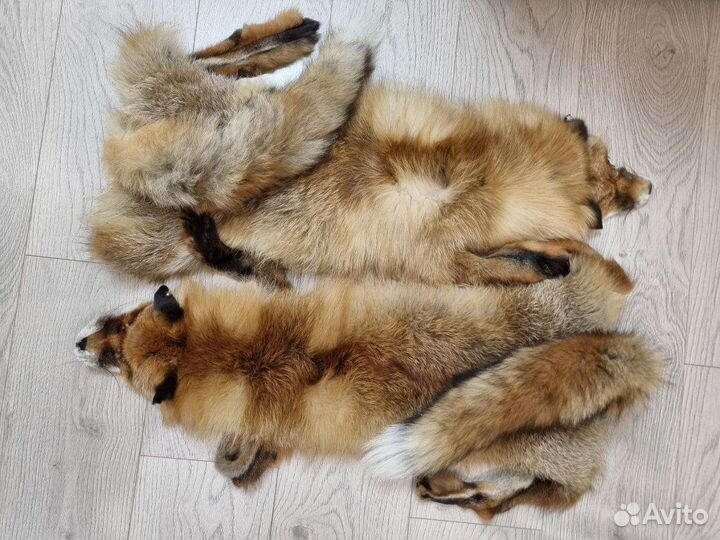 Шкуры лисы