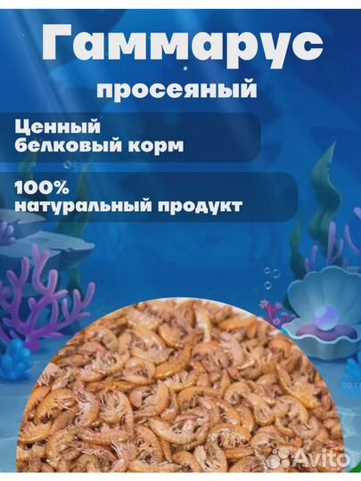 Корм для рыб черепах рептилий Гаммарус 100гр